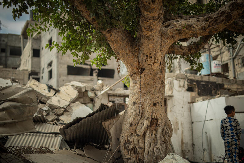 fleeing North Gaza 4