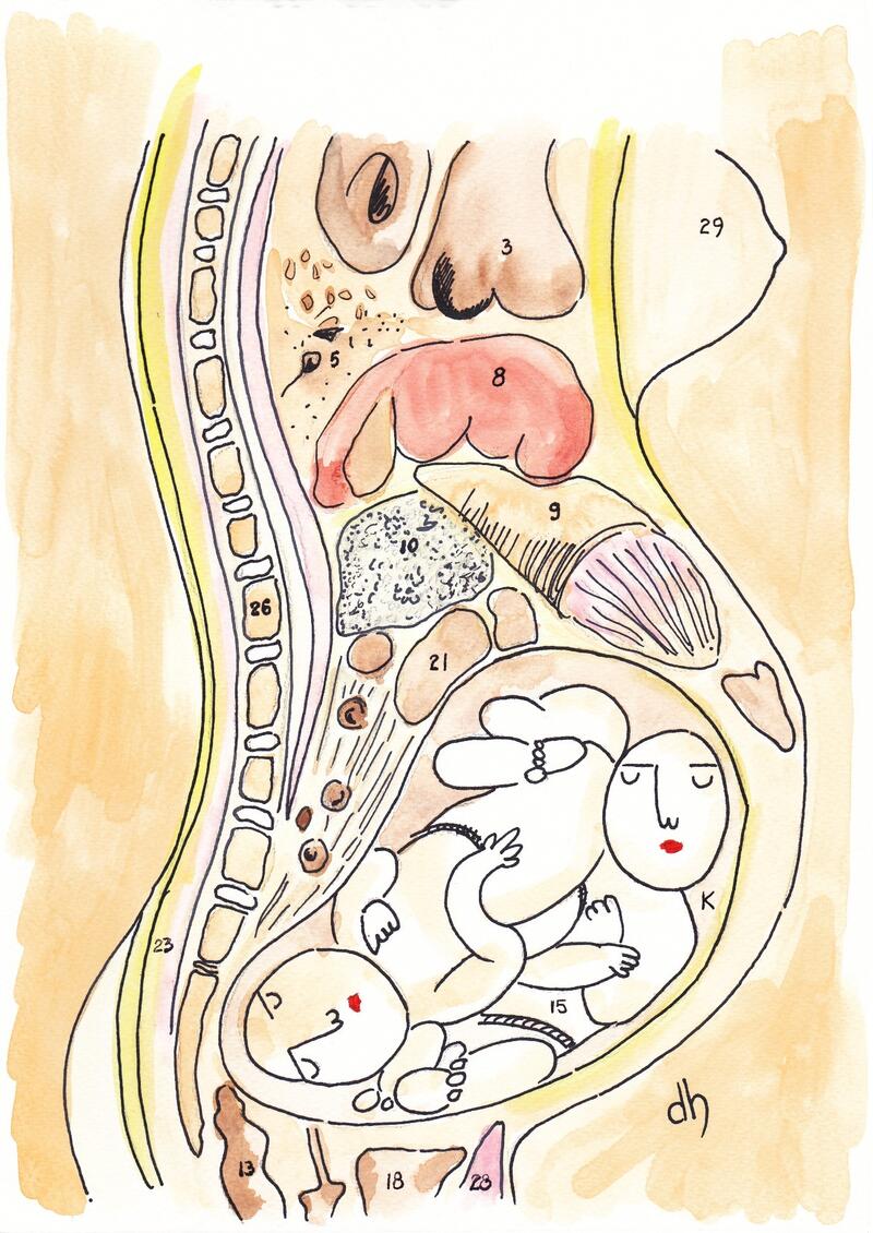 anatomy.jpg anatomy.jpg
