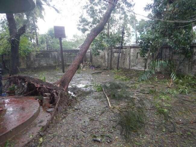 myanmar-floods-fallentreeonmsfcompound-jeltjedanhof-msf.jpg