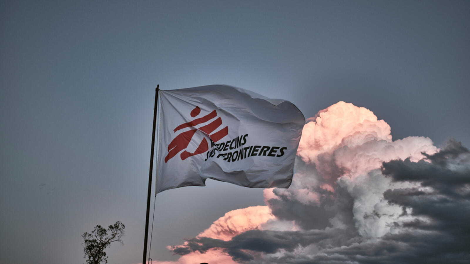 MSF flag