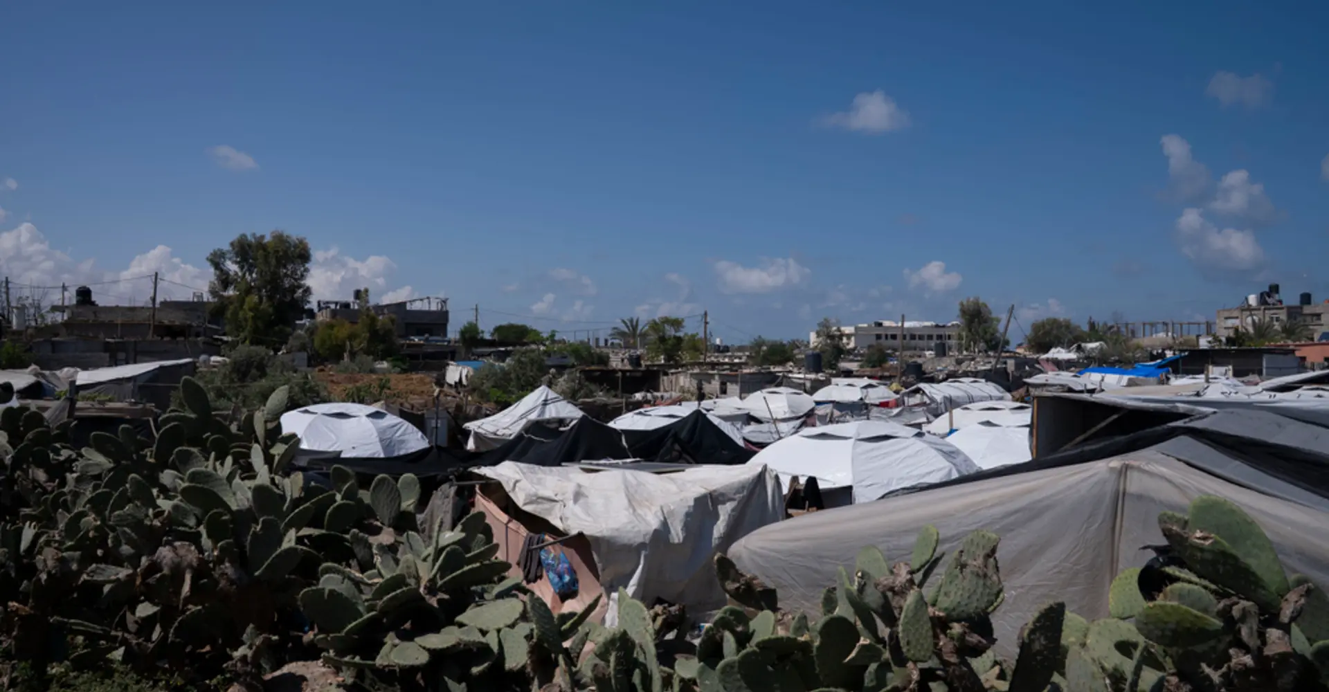 MSF tentes palestine