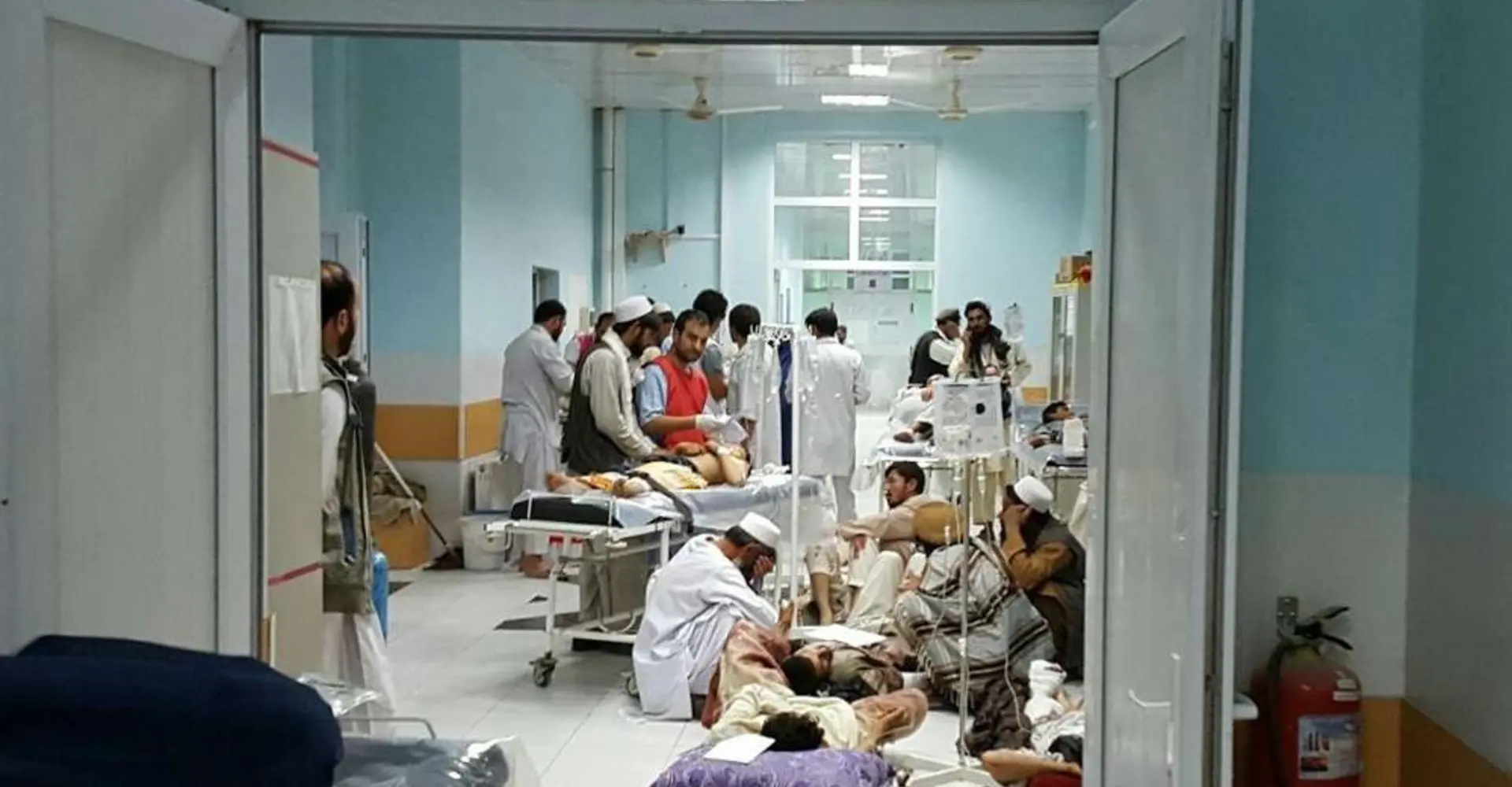 MSF153279.jpg