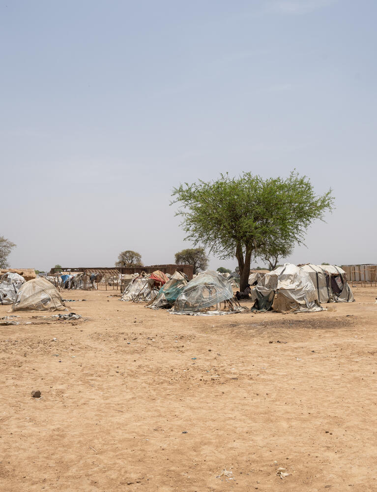  General view of Majak Aher IDP camp, Twic County
